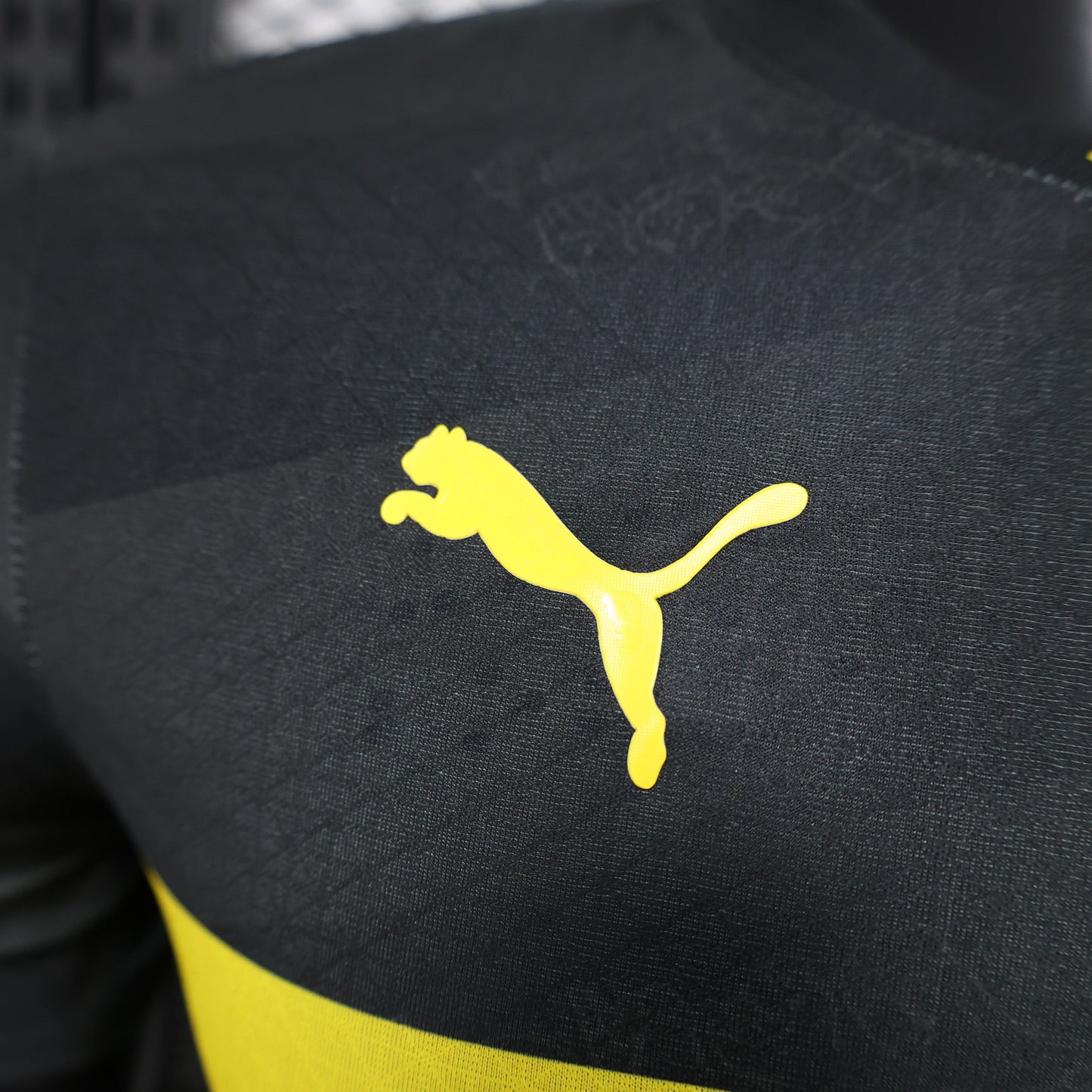 Borussia Dortmund 2024/25 Away