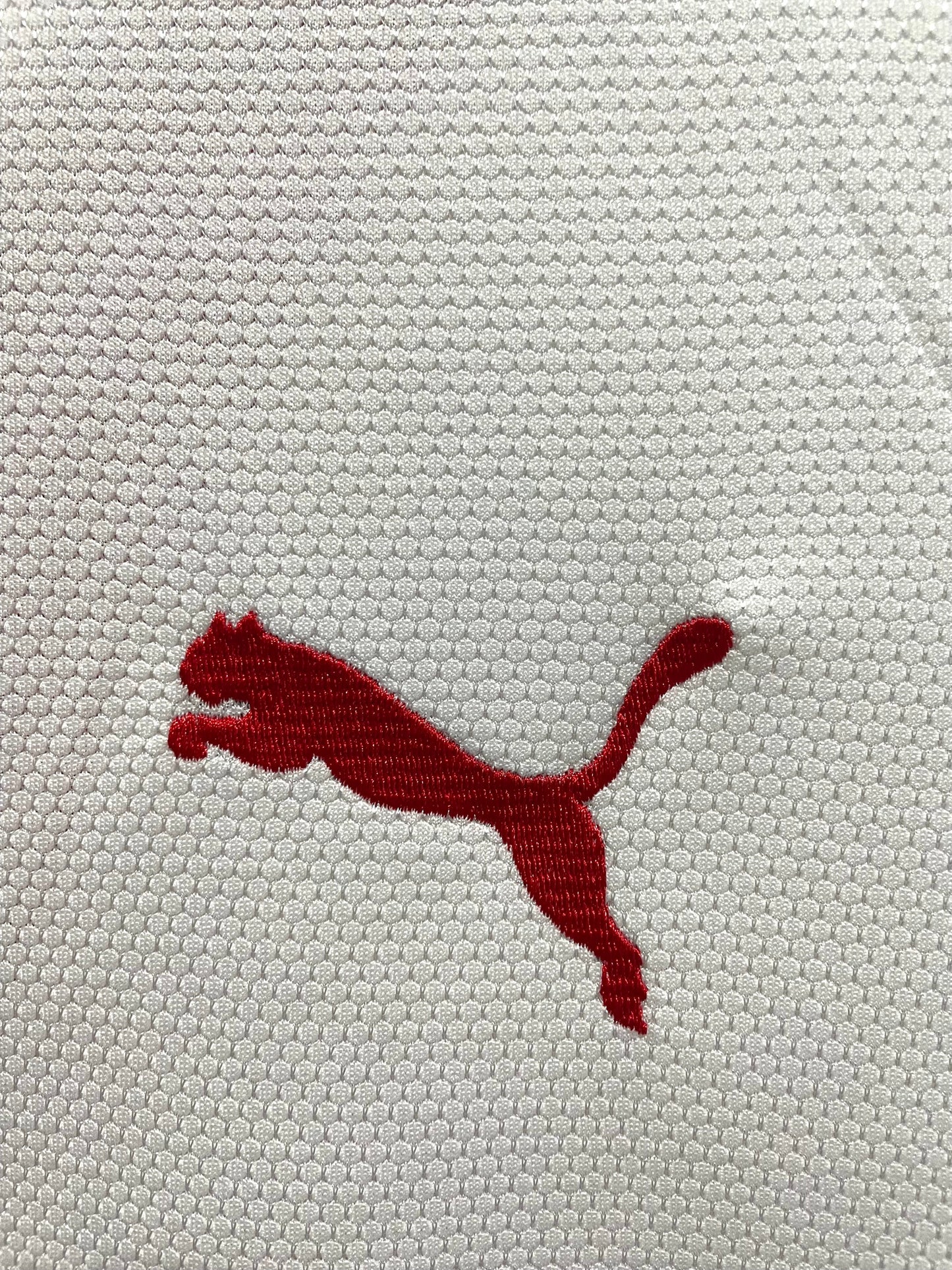 VfB Stuttgart 2006/07 Home
