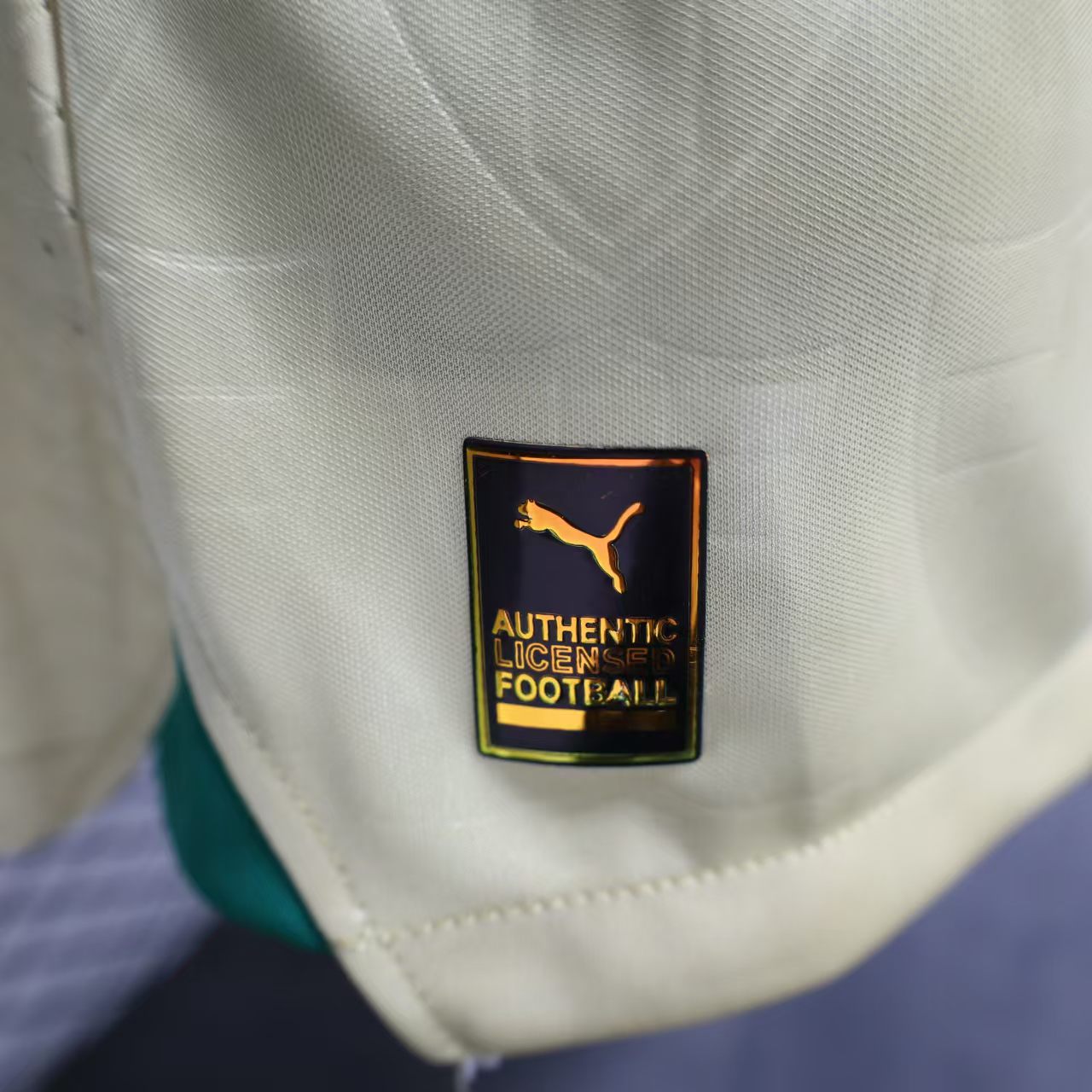 Palmeiras 2024 Anniversary Edition