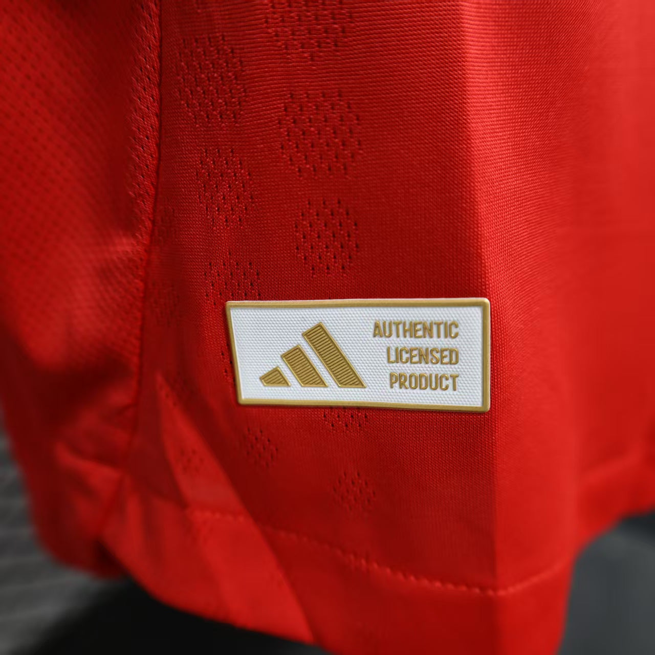 S.L. Benfica 2025/26 Home