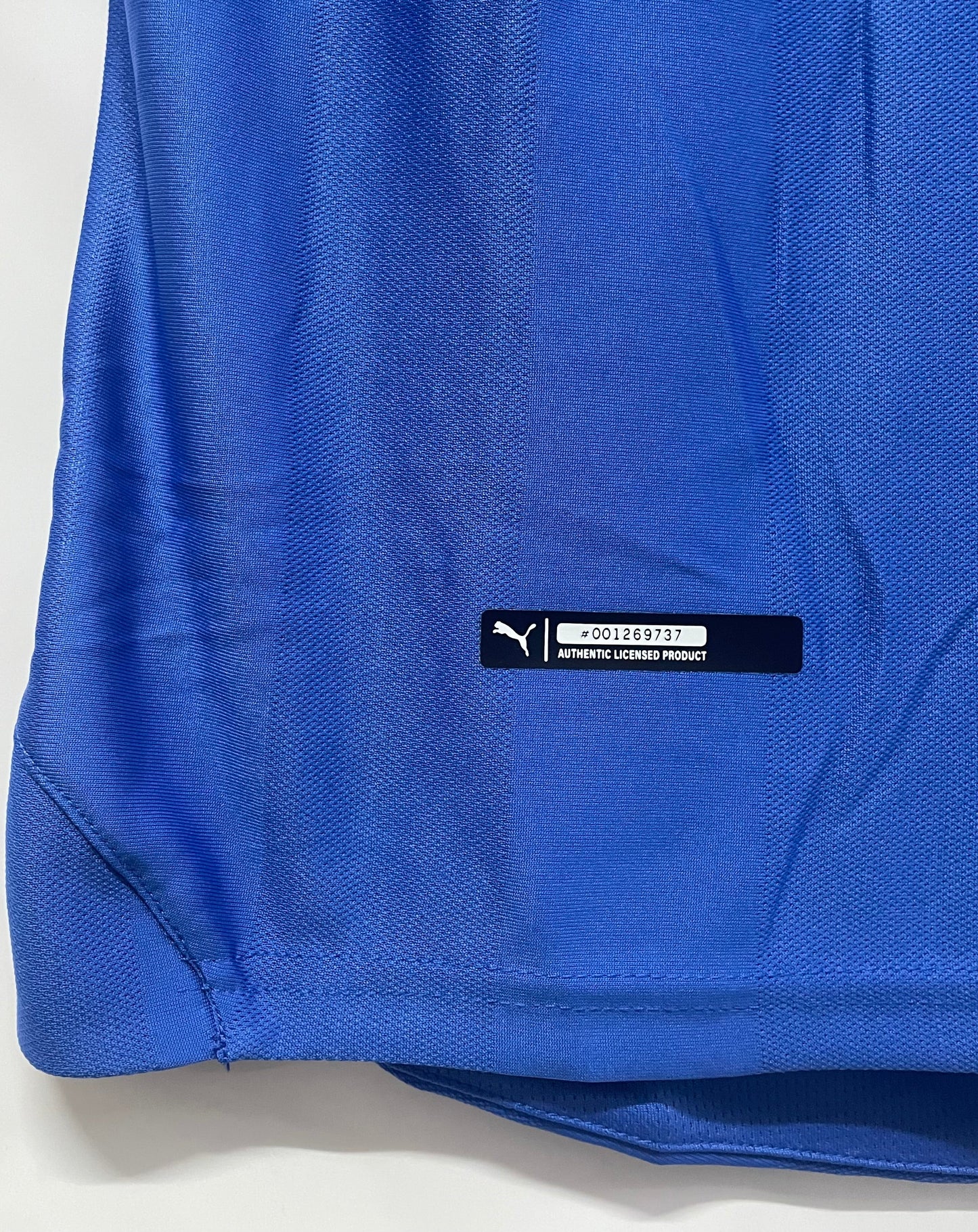 Leicester City 2015/16 Home