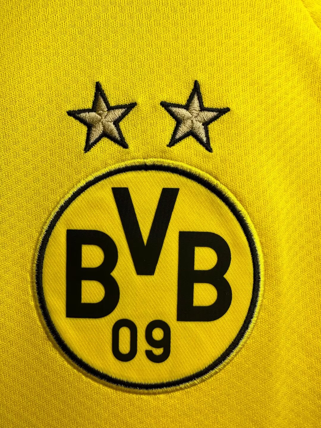 Borussia Dortmund 2019/20 Home