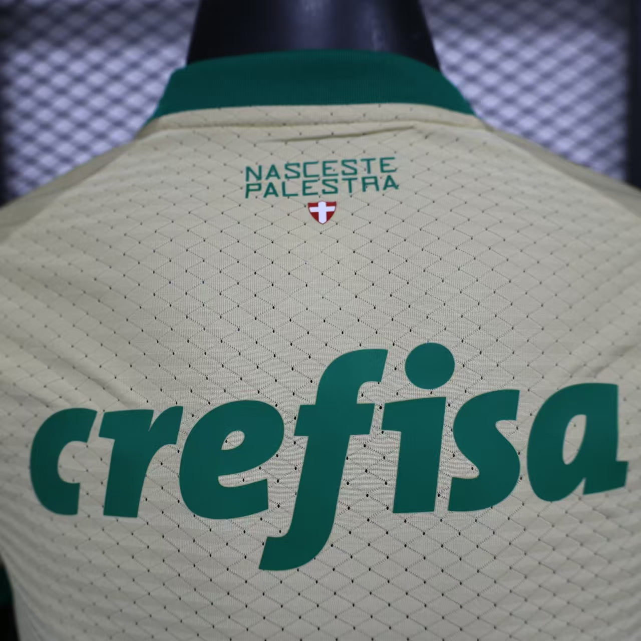 Palmeiras 2024 Anniversary Edition