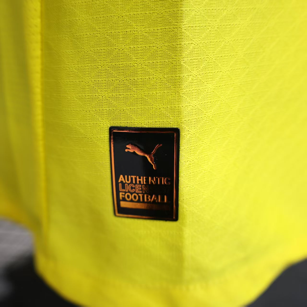 Borussia Dortmund 2025/26 Home