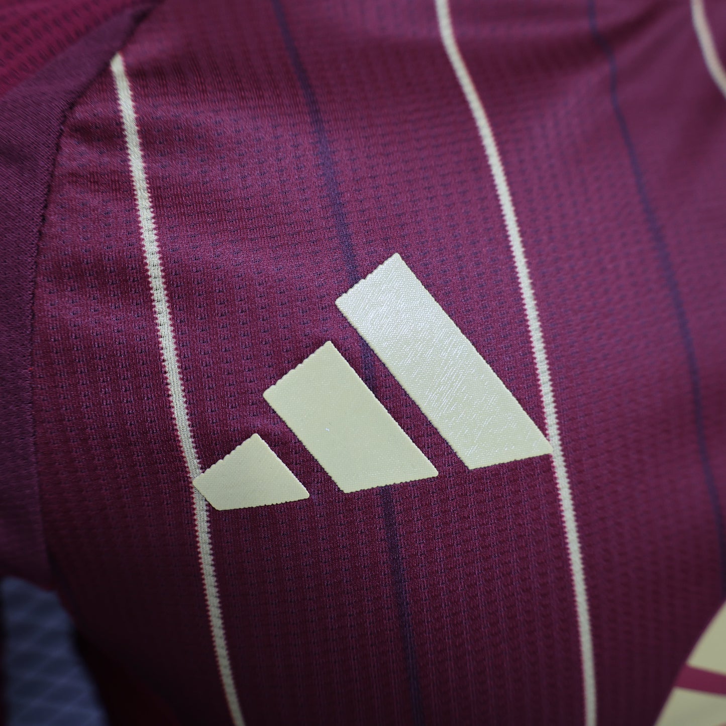 AS Roma 2024/25 Home