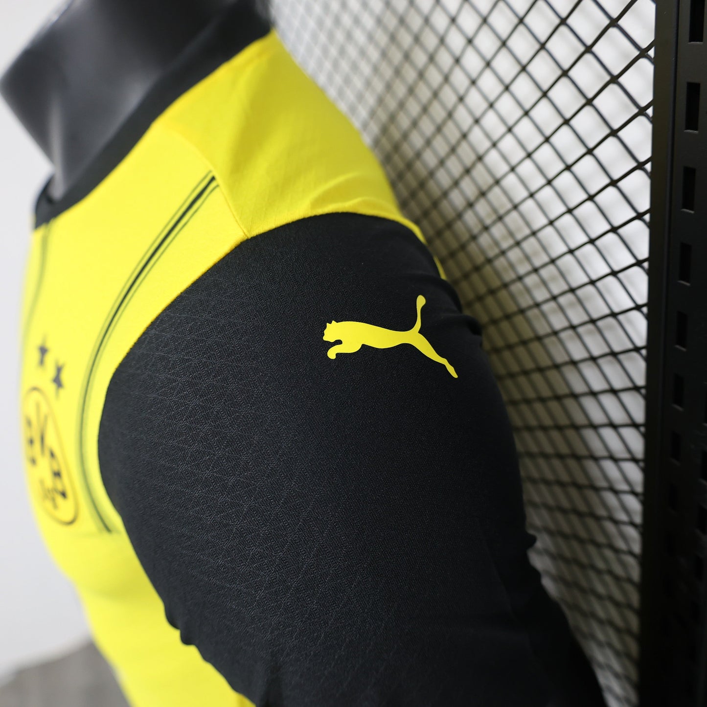 Borussia Dortmund 2024/25 Home