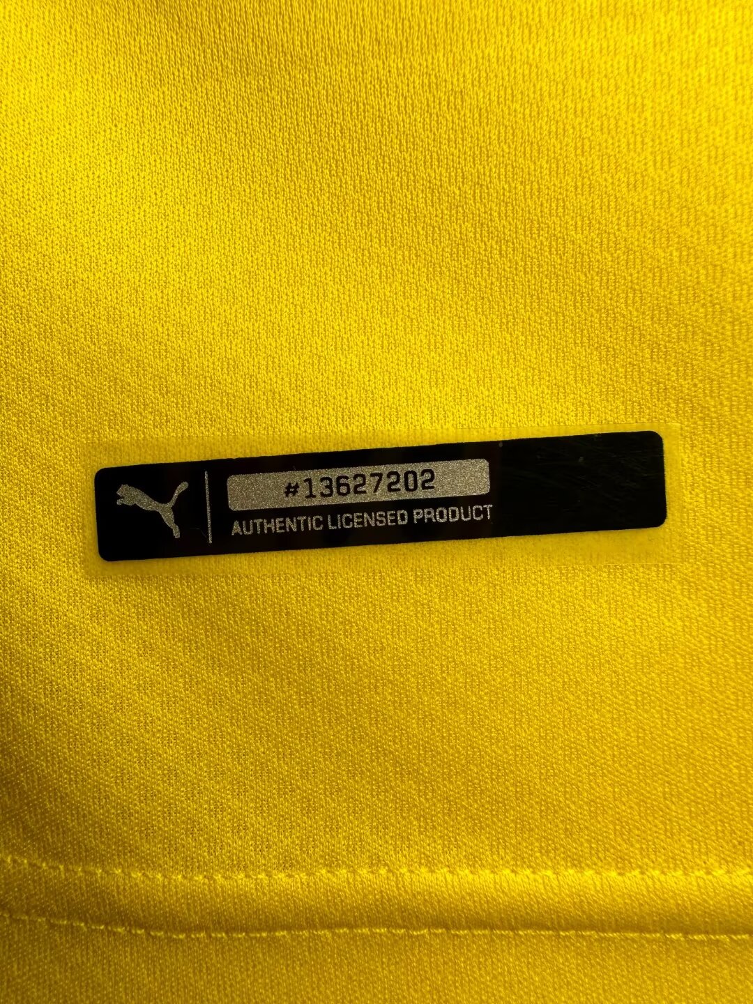 Borussia Dortmund 2019/20 Home