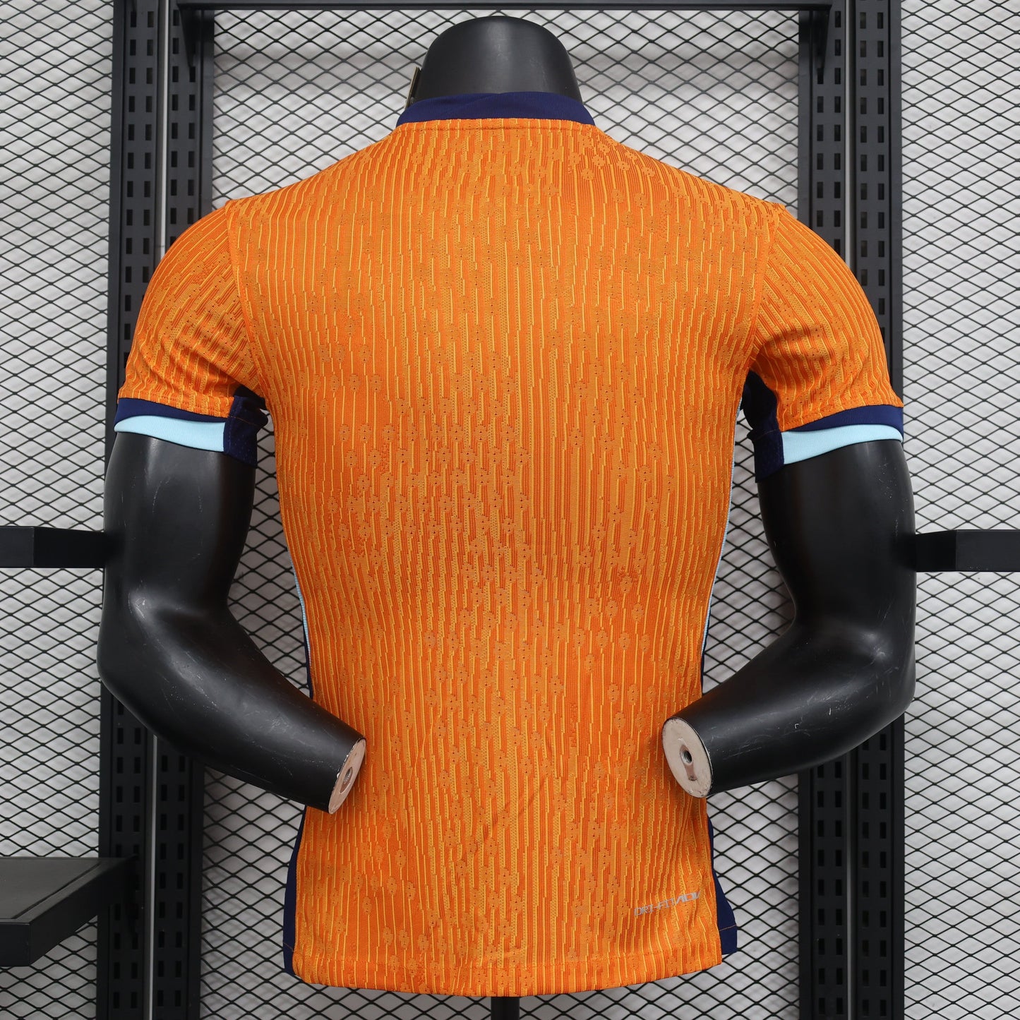 Netherlands 2024 EURO Home