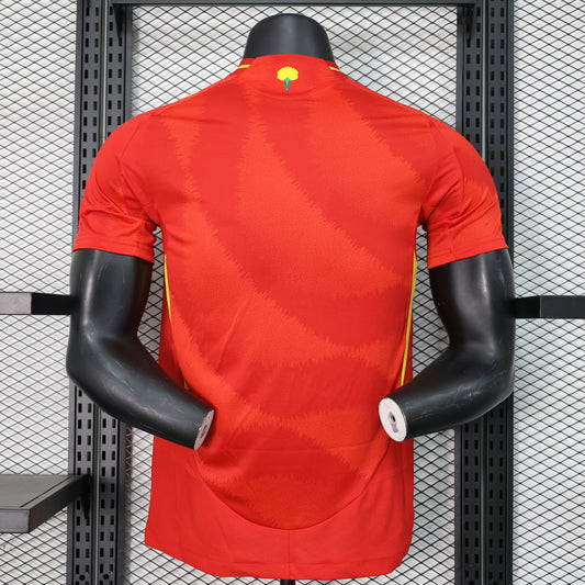 Spain 2024 EURO Home