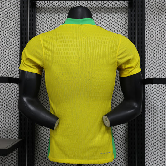 Brazil 2025 Home