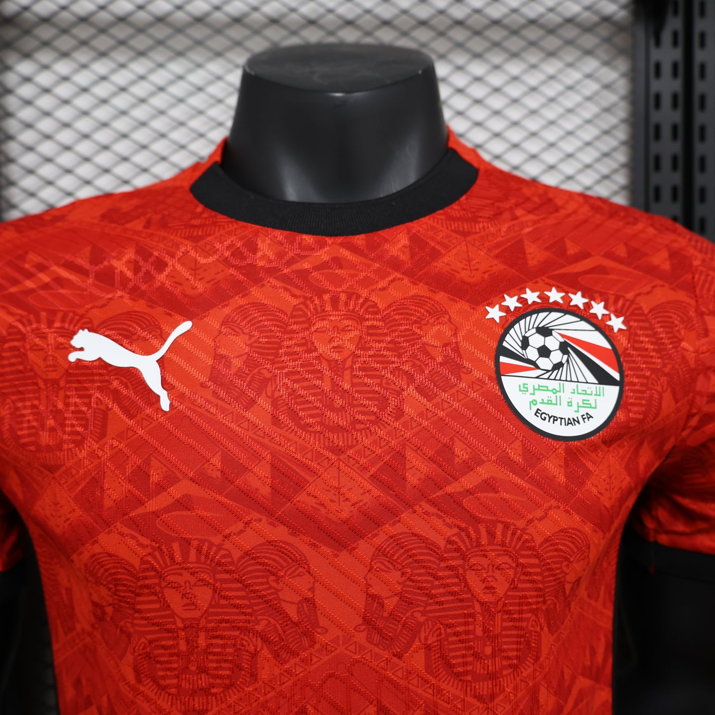 Egypt 2025 Home