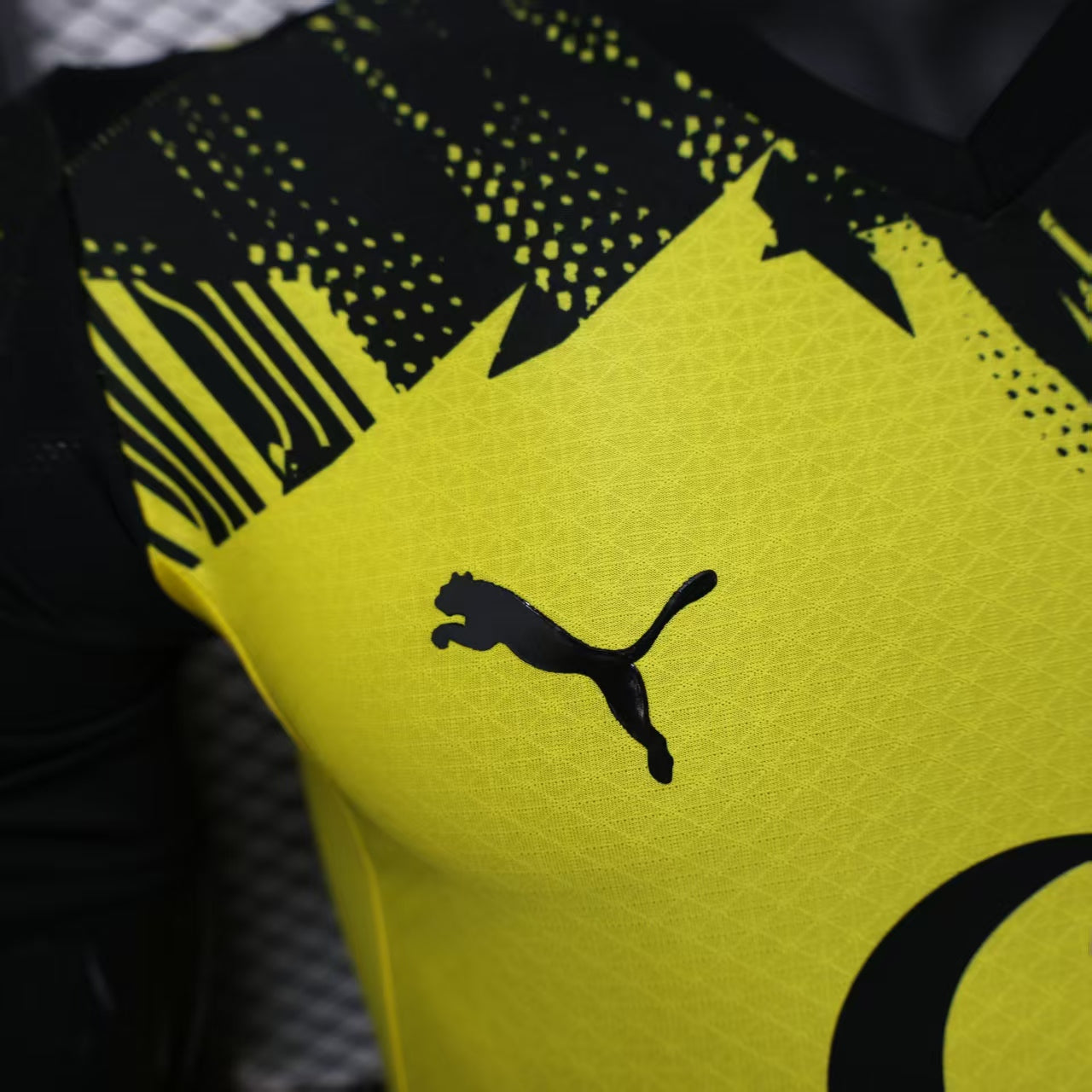 Borussia Dortmund 2025/26 Home