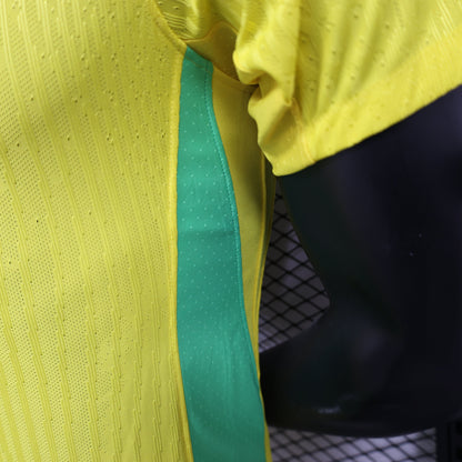 Brazil 2025 Home