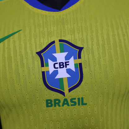 Brazil 2025 Home