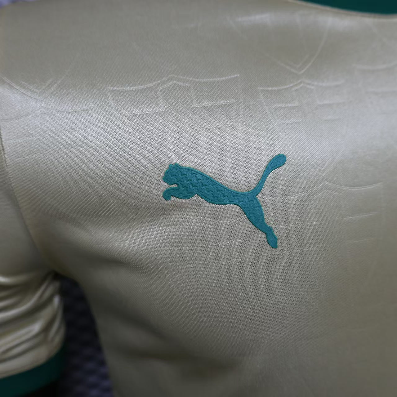 Palmeiras 2024 Anniversary Edition