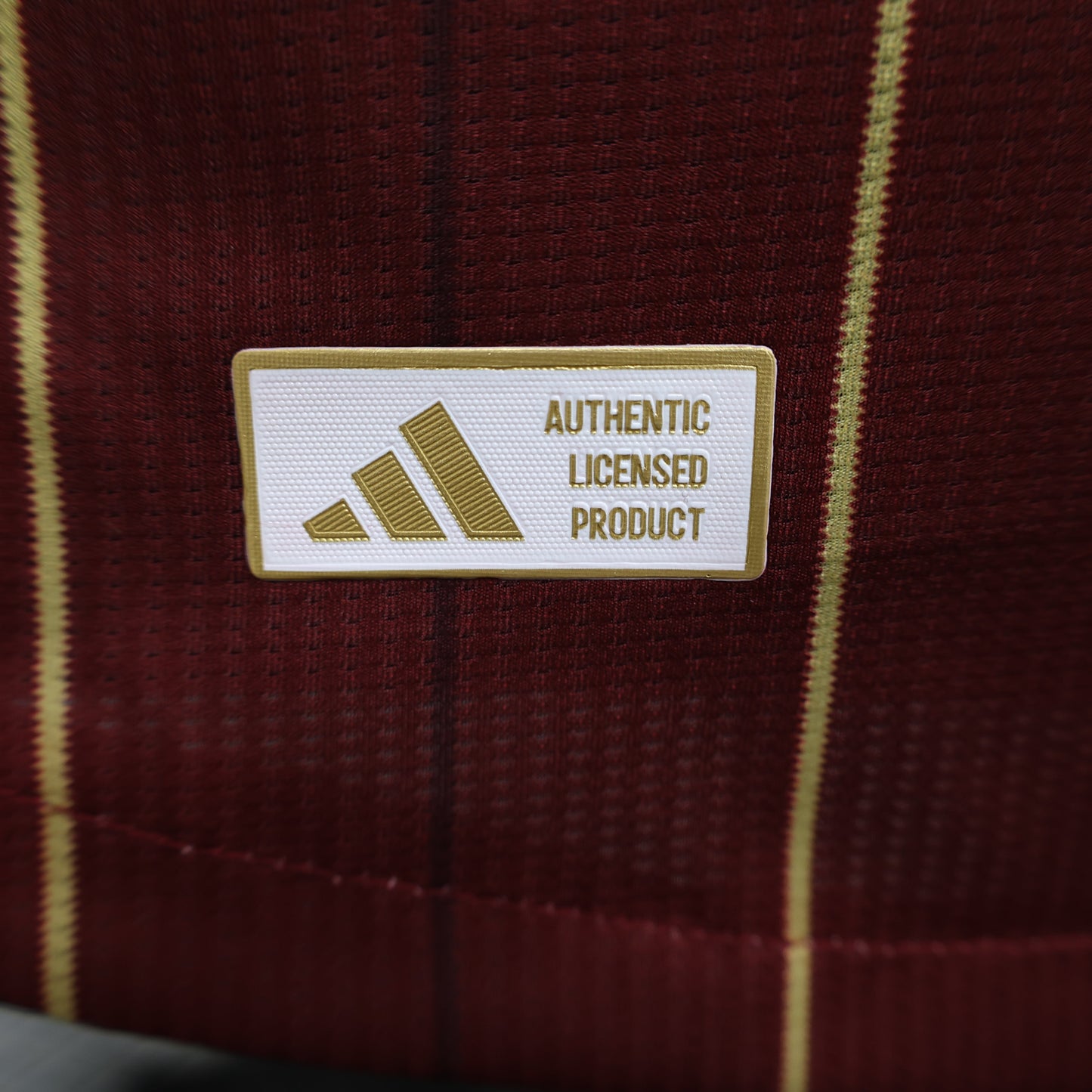 AS Roma 2024/25 Home