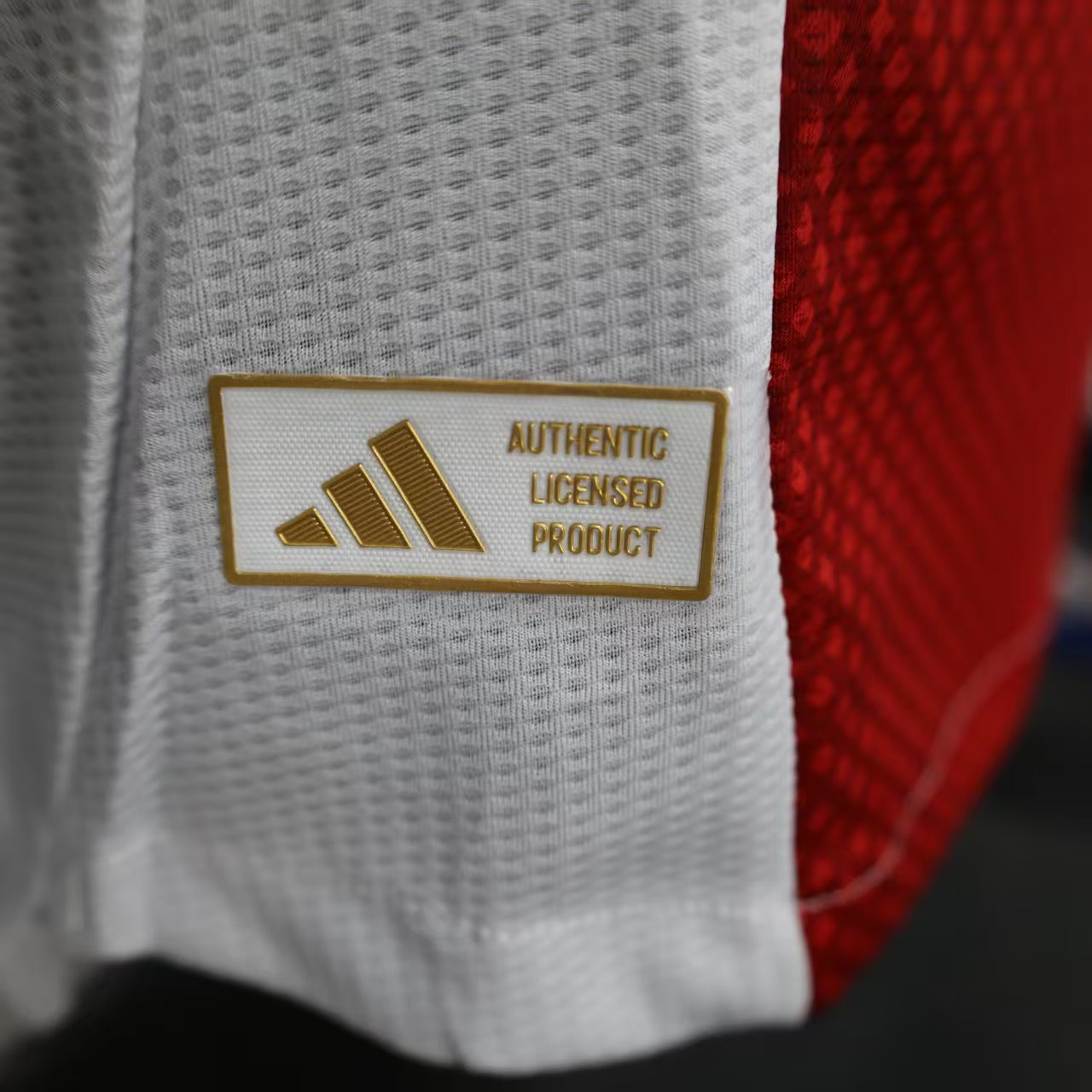 Ajax 2025/26 Home
