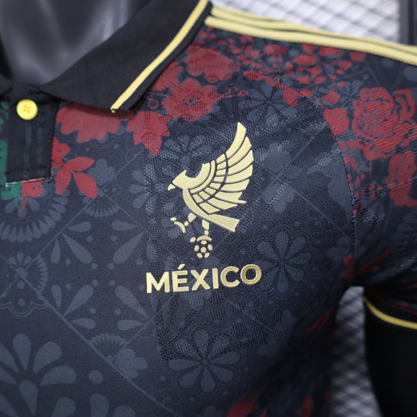 Mexico 2025 - Special