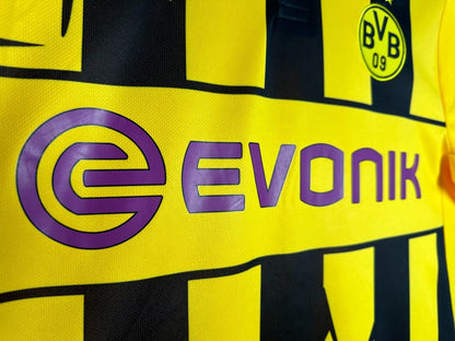 Borussia Dortmund 2012/13 European Home