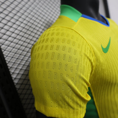 Brazil 2025 Home