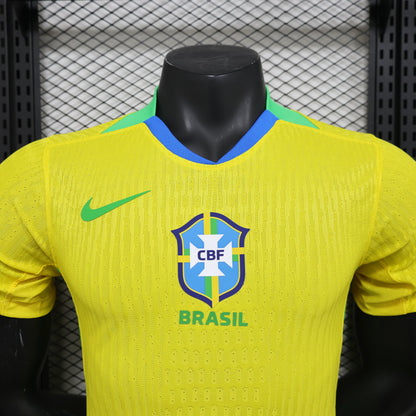 Brazil 2025 Home