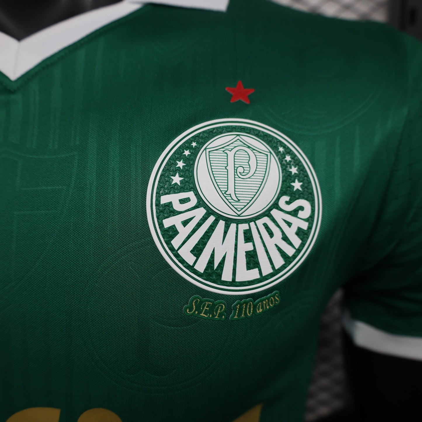 Palmeiras 2024 Home (2-5 DAY DELIVERY)