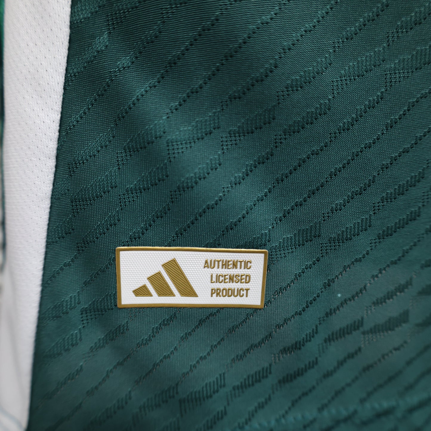 Italy 2024 'Speciale Verde'