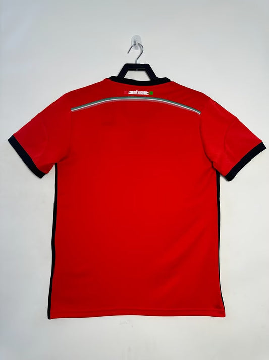 Mexico 2014 Away
