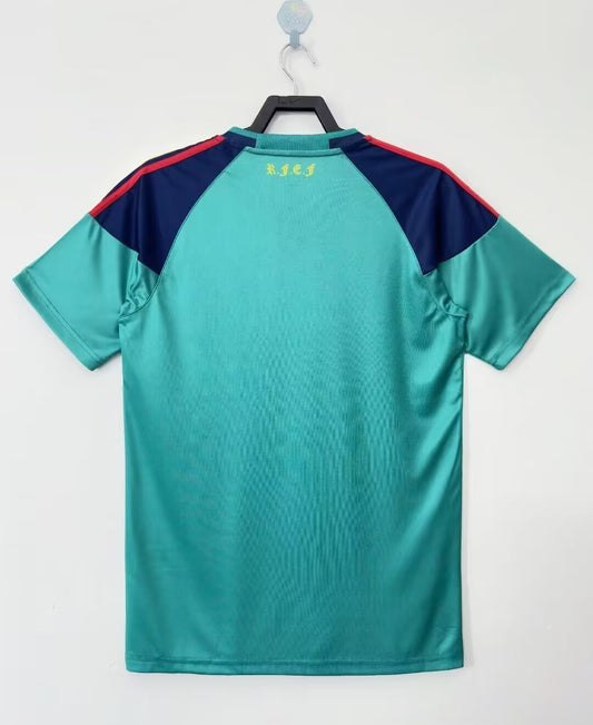 Spain 2010 GK Home